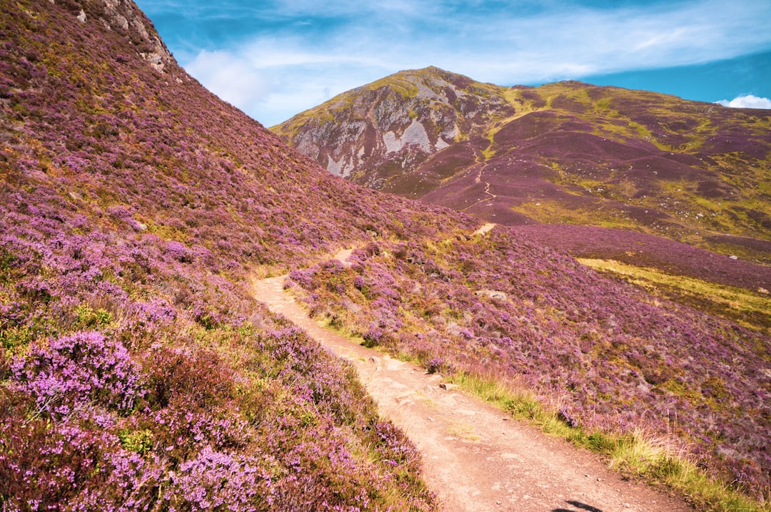 Photo mountain path